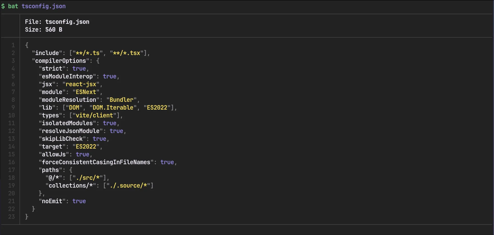 a screenshot of bat displaying a file